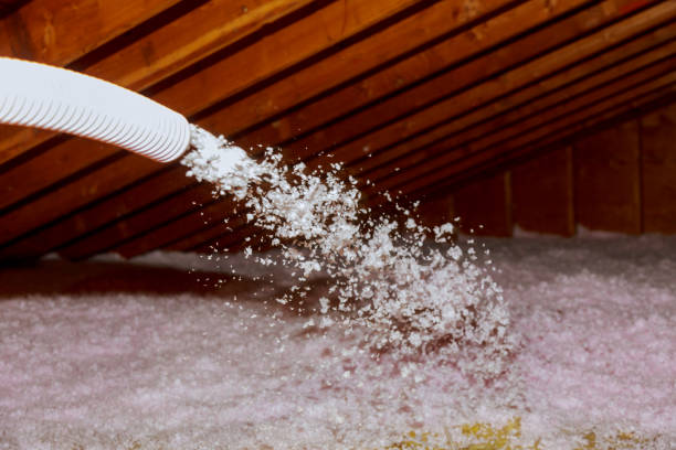 Best Spray Foam Insulation in Ste Genevieve, MO