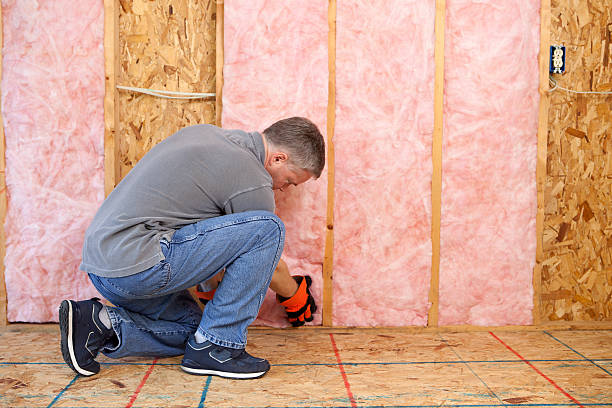 Best Energy Efficiency Insulation in Ste Genevieve, MO