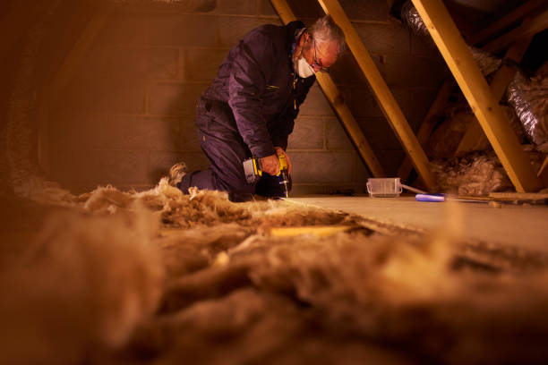 Best Commercial Insulation in Ste Genevieve, MO